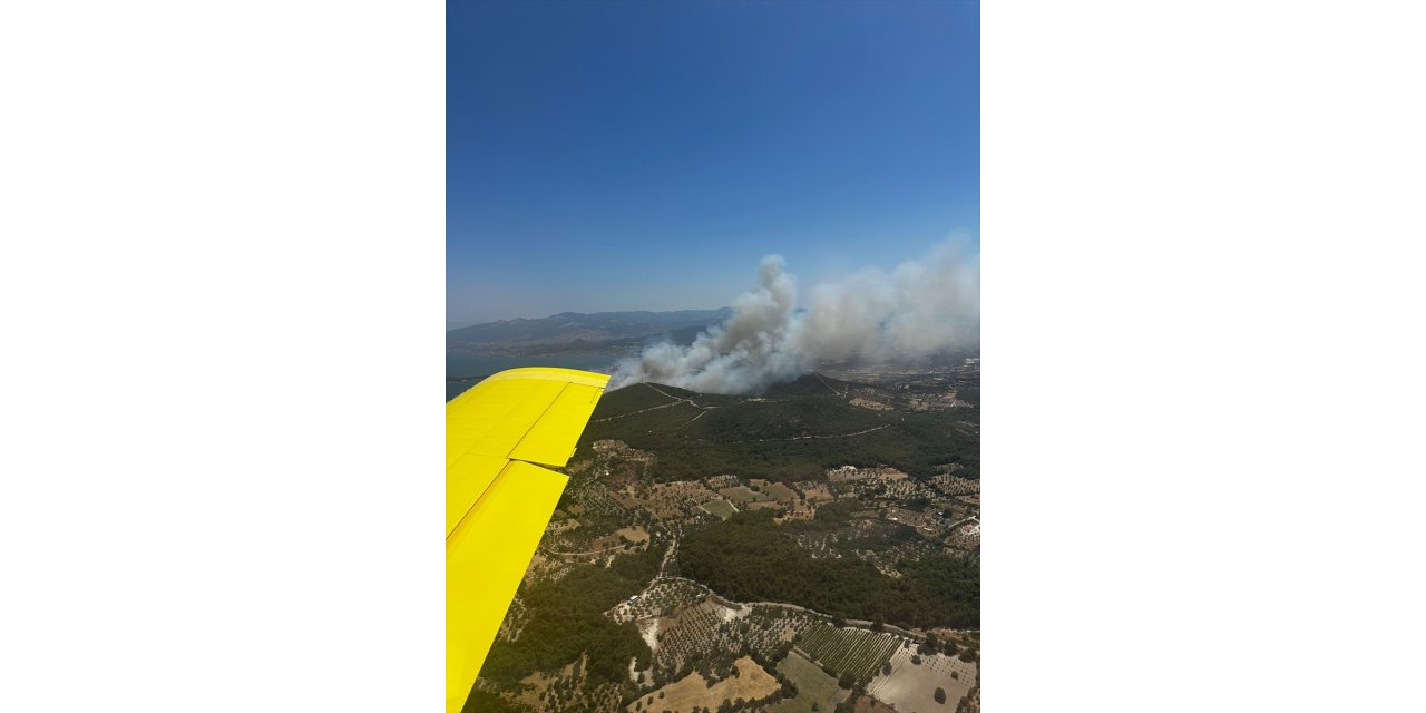 GÜNCELLEME - İzmir'in Urla ilçesinde çıkan orman yangınına müdahale ediliyor