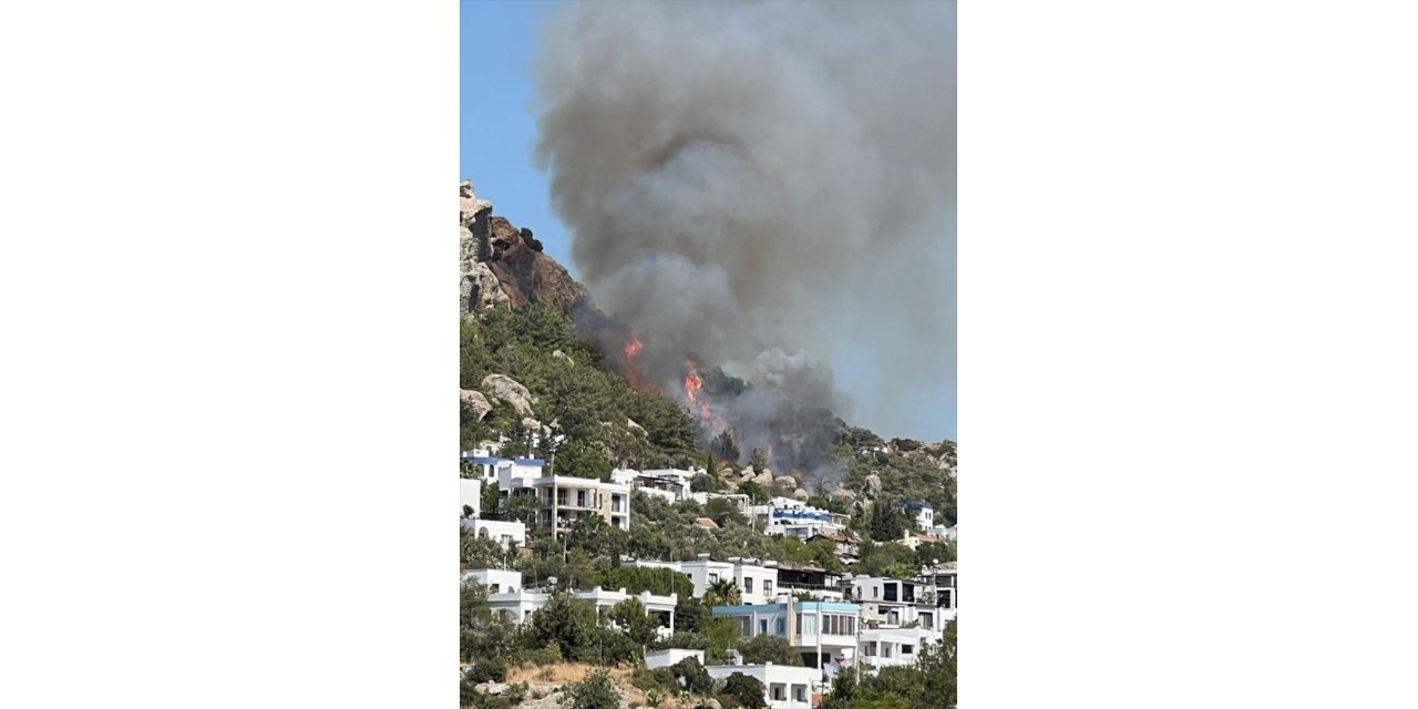 Bodrum'da makilik ve otluk alanda çıkan yangına müdahale ediliyor