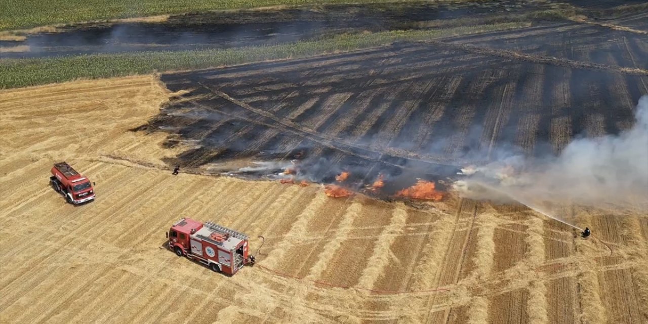 Tekirdağ'da temmuzda çıkan yangınlarda 19 bin 676 dekar tarım arazisi zarar gördü