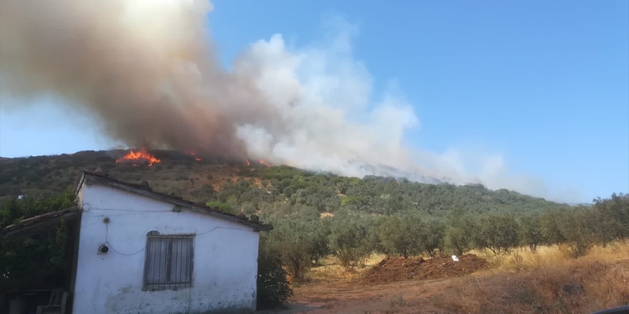 Balıkesir'de çıkan orman yangınına müdahale ediliyor