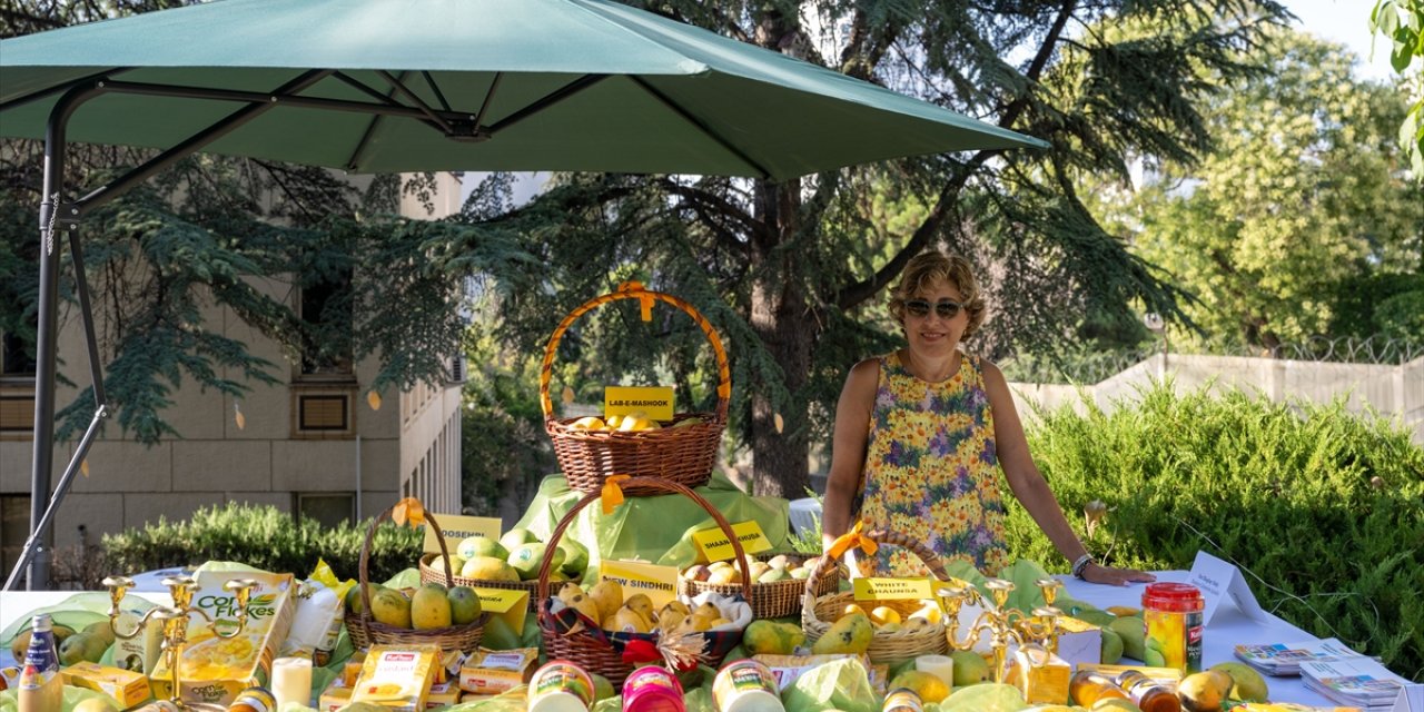 Ankara'da "Mango Festivali" etkinliği yapıldı