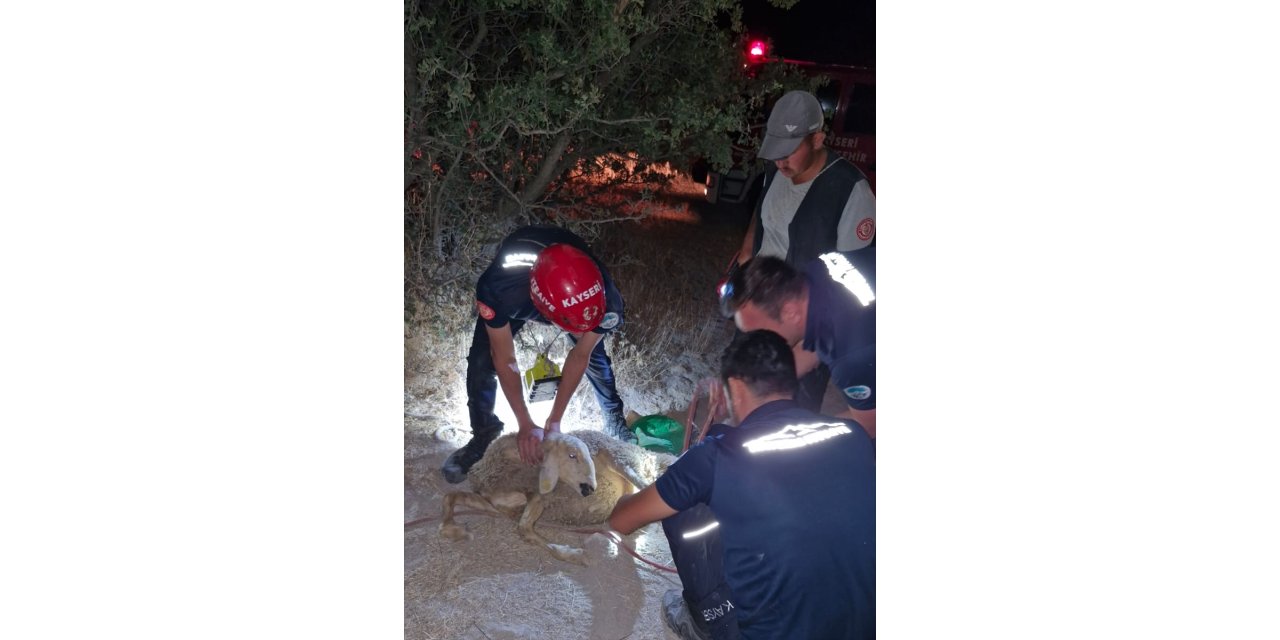 Kayseri'de itfaiye ekipleri kuyuya düşen koyunu kurtardı