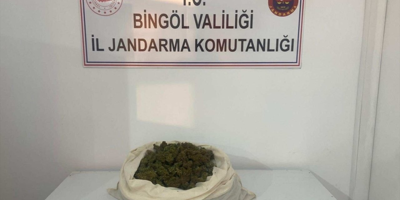 Bingöl'de 815 kök Hint keneviri ve 3 kilo 762 gram esrar ele geçirildi