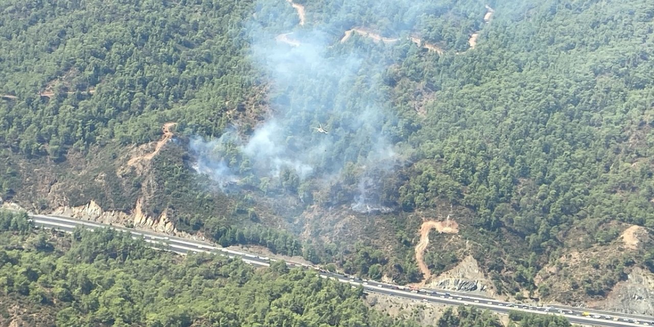 Muğla'nın Ortaca ilçesinde orman yangını çıktı