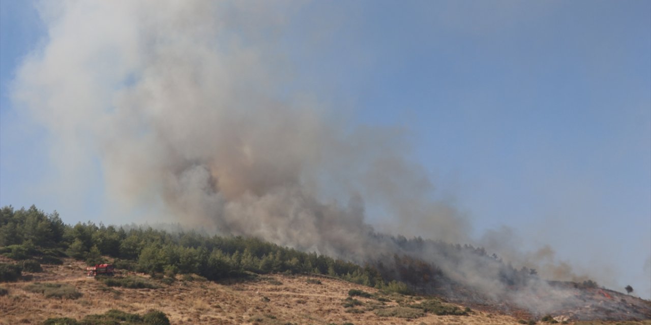 GÜNCELLEME - Hatay'da orman yangını çıktı