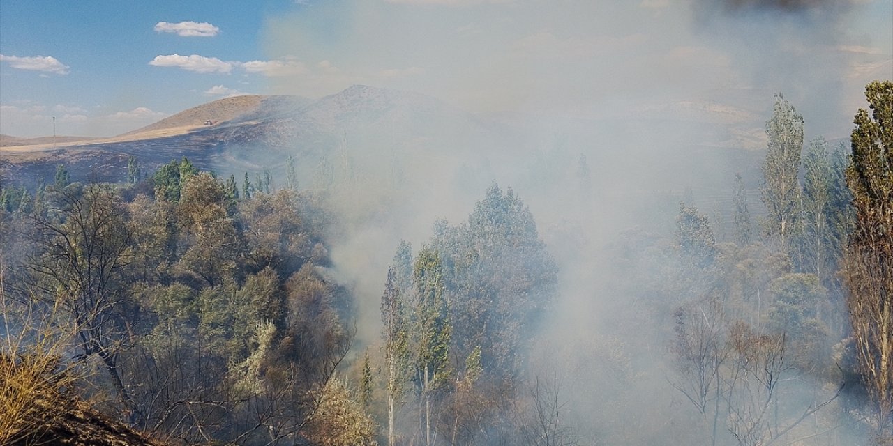 Sivas'ta ağaçlık alanda çıkan yangını söndürme çalışmaları sürüyor