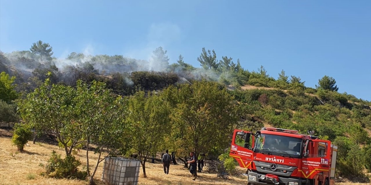 Manisa'da çıkan yangında 3 hektar tarım arazisi zarar gördü