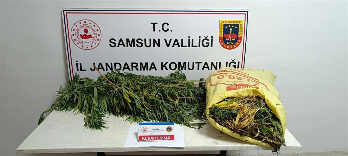 Samsun'da uyuşturucu operasyonunda 12 kilogram esrar ele geçirildi