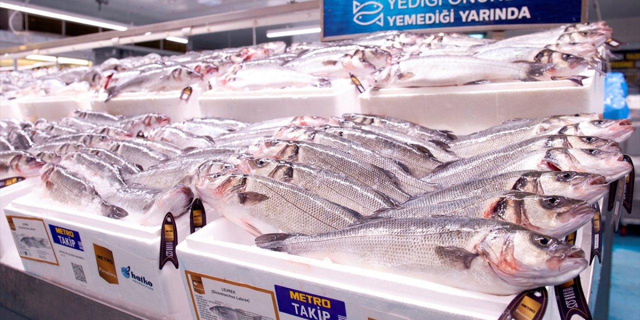 Metro Premium'dan yüksek Omega 3 değerine sahip levrek ve çipuralar