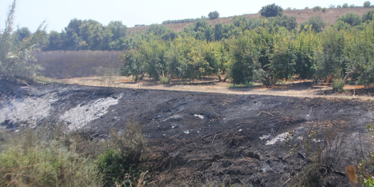 Antalya'da sazlık alanda çıkıp tarım arazisine sıçrayan yangın söndürüldü