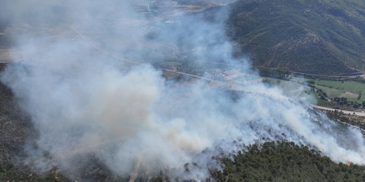 Tokat'ta ormanlık alanda çıkan yangına müdahale ediliyor