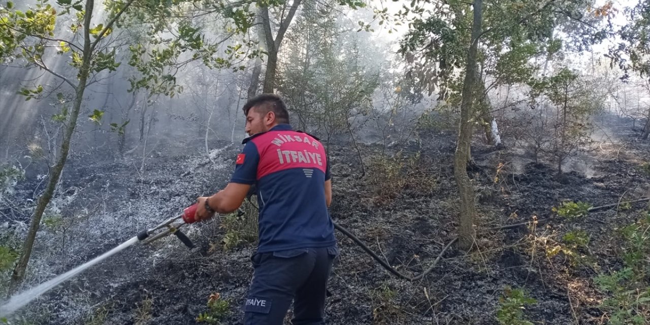 Tokat'ta çıkan örtü yangını söndürüldü