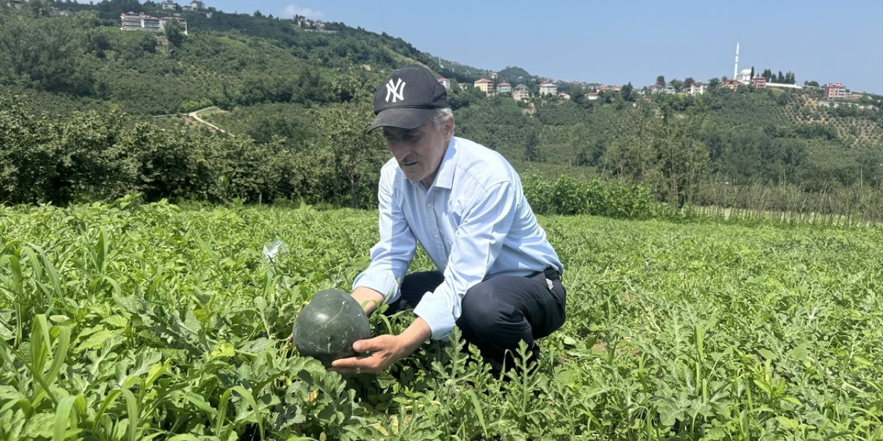 Karadenizli Temel'in talihi şekilli karpuzla değişti