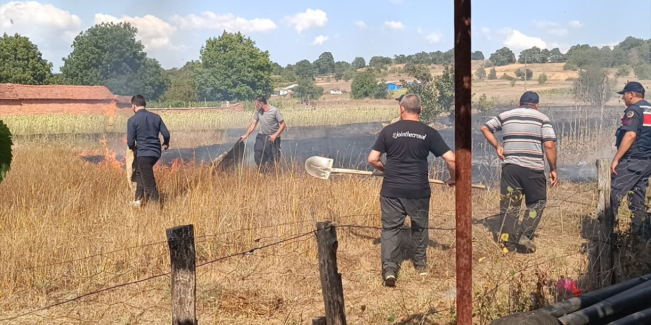 Bilecik'te otluk alanda çıkan yangın söndürüldü