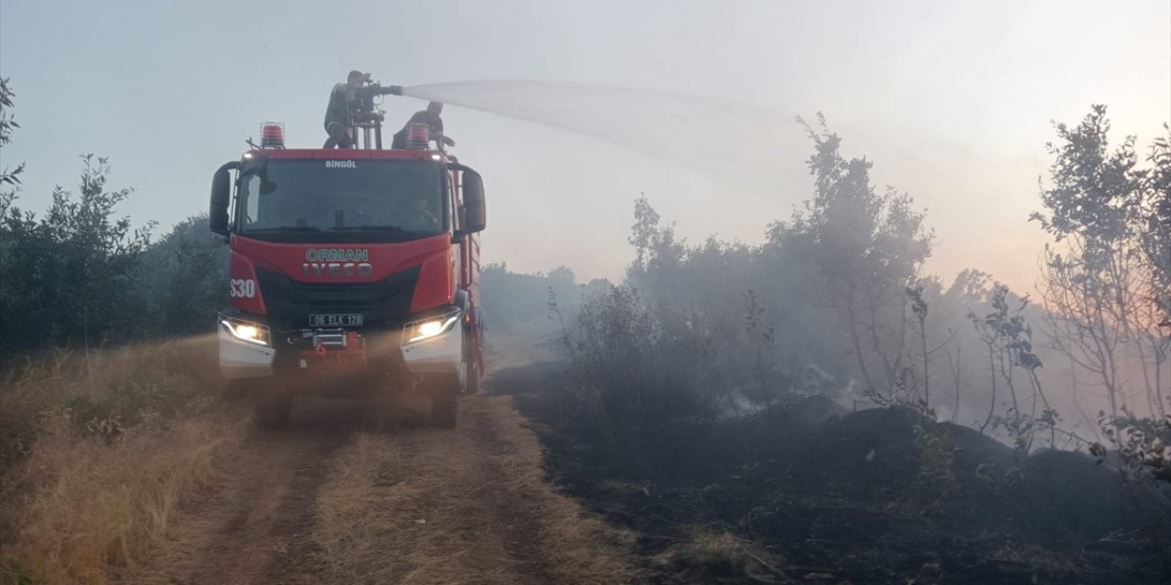 Bingöl'de çıkan orman yangınına müdahale ediliyor