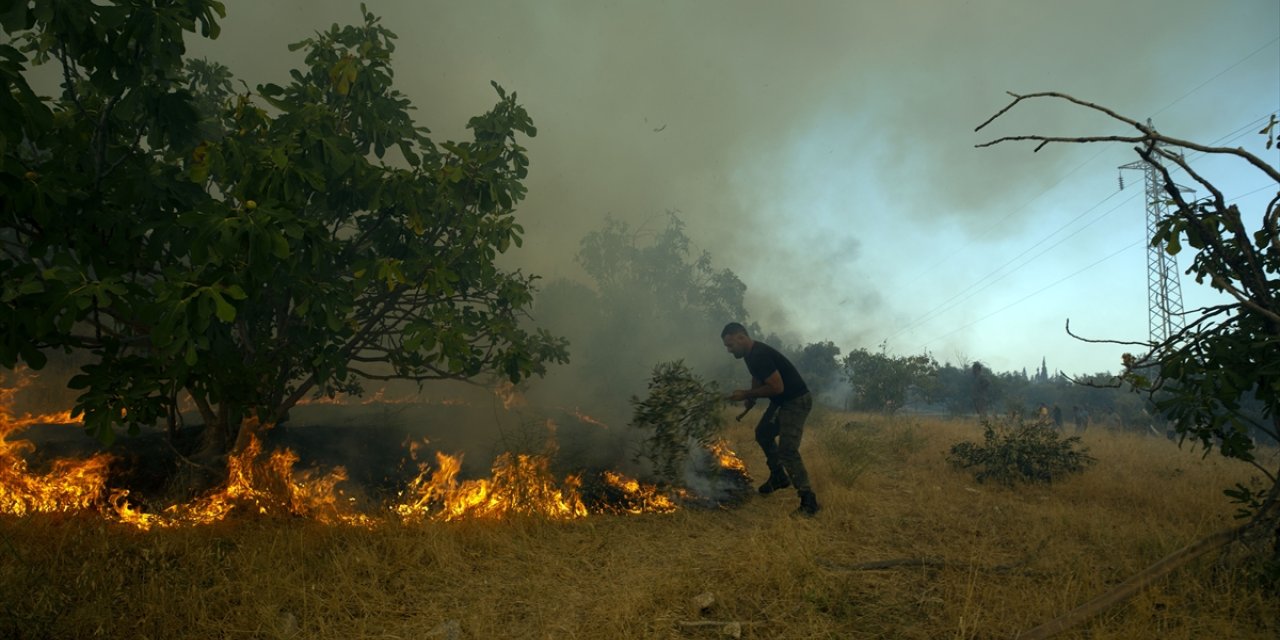 Aydın'da zeytinlik ve ormanlık alanda çıkan yangına müdahale sürüyor