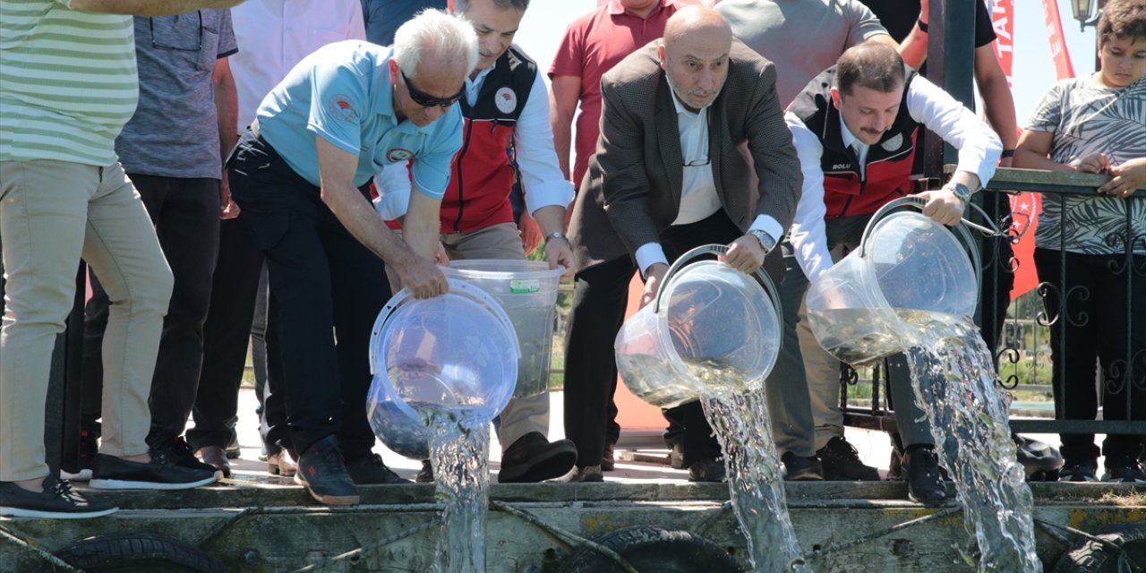 Bolu'daki Yeniçağa Gölü'ne 50 bin sazan balığı yavrusu bırakıldı