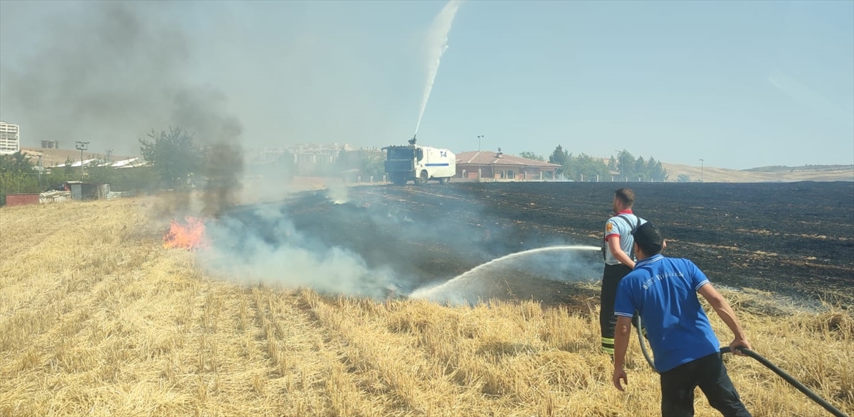 Siirt'te çıkan arazi yangını söndürüldü