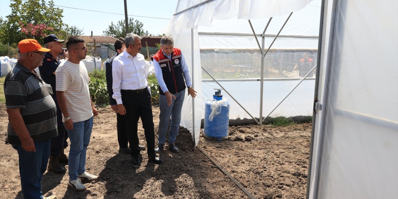 Edirne'de sera alanının devlet desteğiyle 500 dekara çıkarılması hedefleniyor