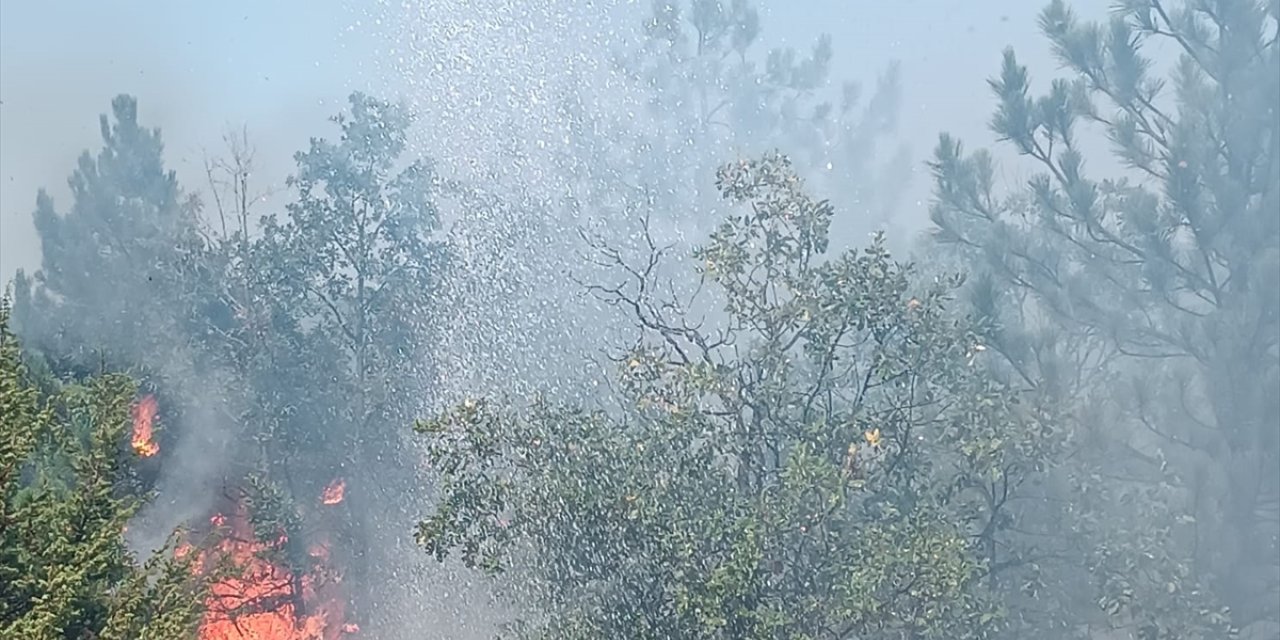 Yozgat'ın Çekerek ilçesinde orman yangını çıktı