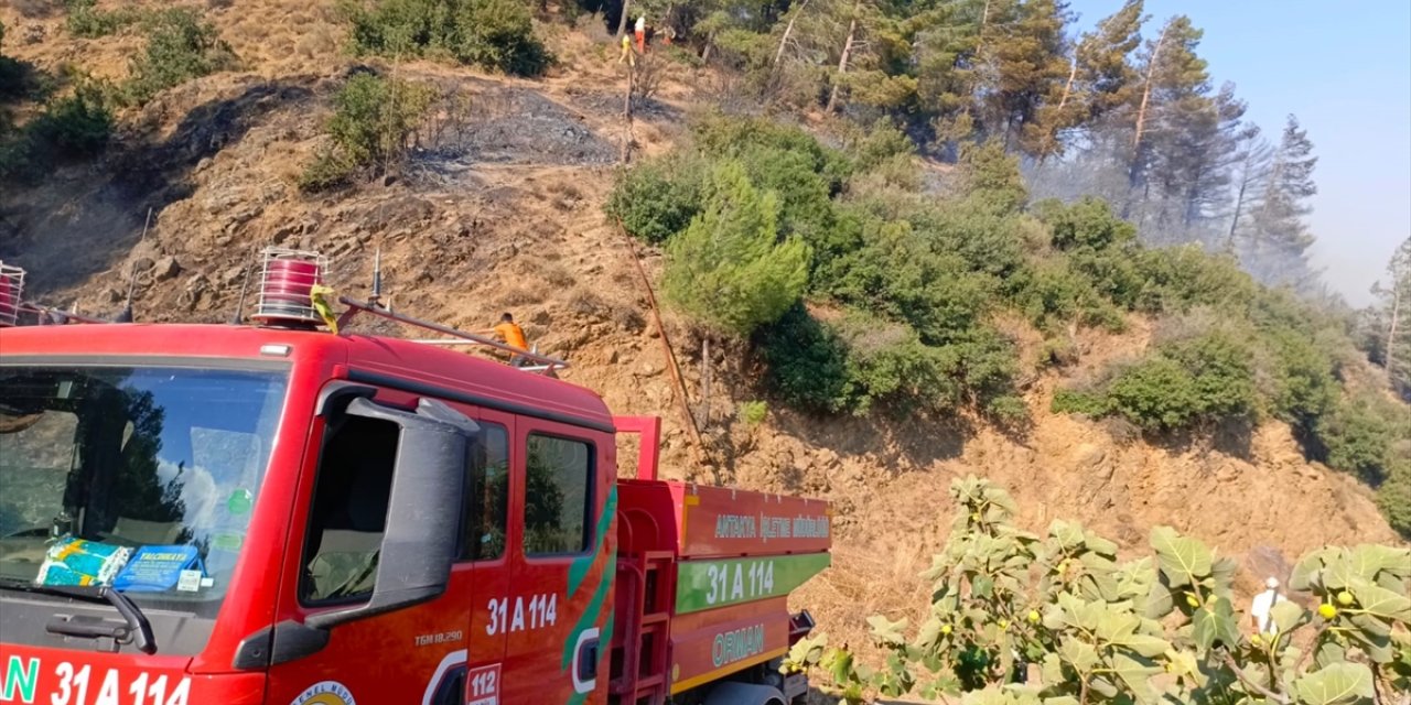 GÜNCELLEME - Hatay'da çıkan orman yangını kontrol altına alındı