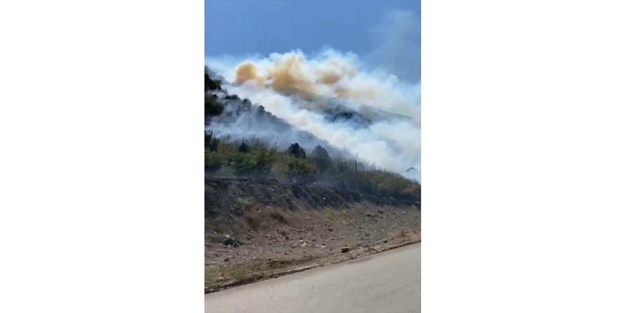 Tokat'ta çıkan yangında yaklaşık 5 hektarlık ormanlık alan zarar gördü