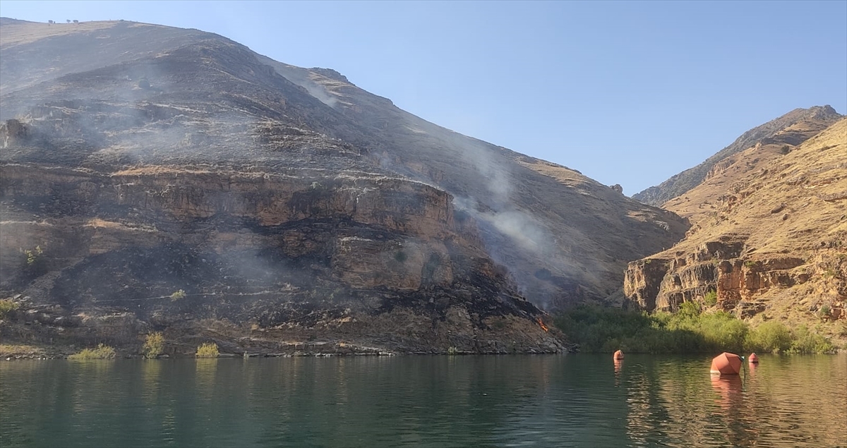 Elazığ’da dağlık ve otluk arazide çıkan yangın kontrol altına alındı