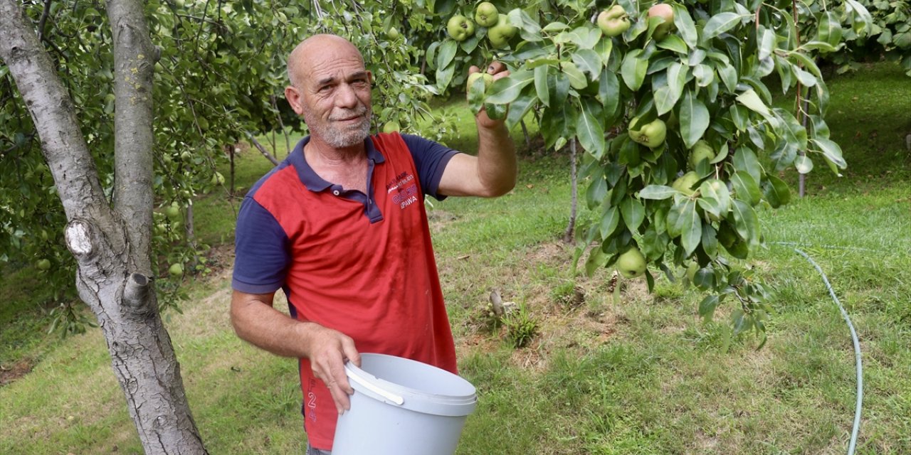 Bahçesinde yetiştirdiği ürünleri yoldan geçenlerle paylaşıyor