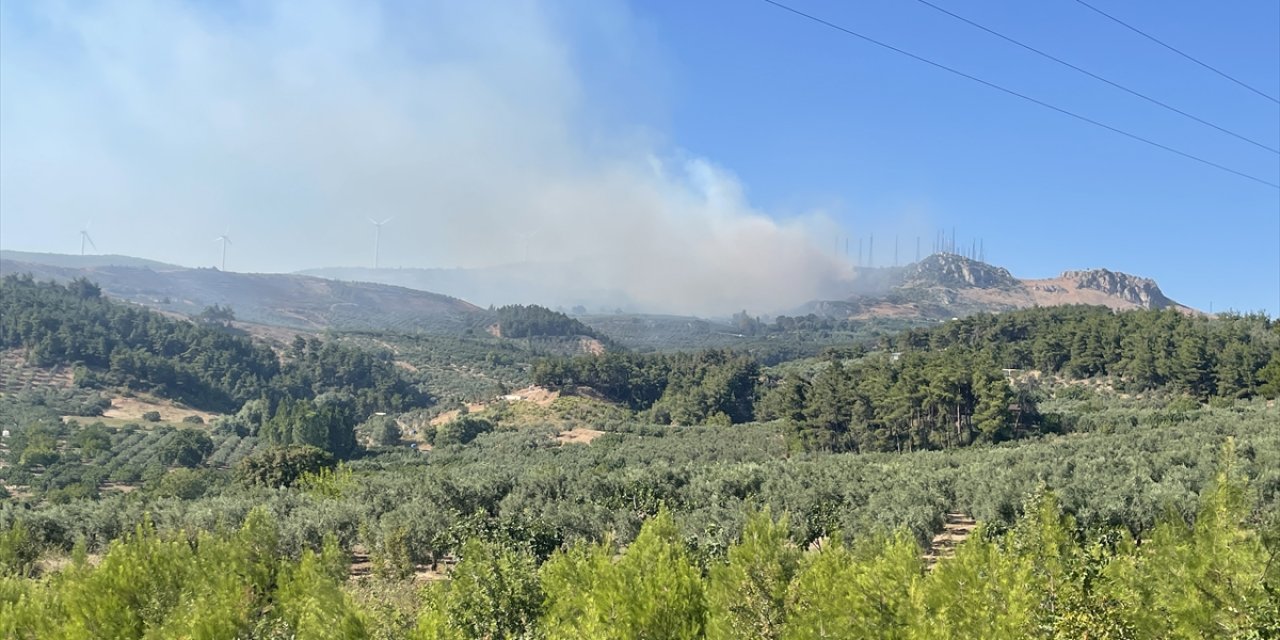 Bursa'da çıkan orman yangınına müdahale ediliyor