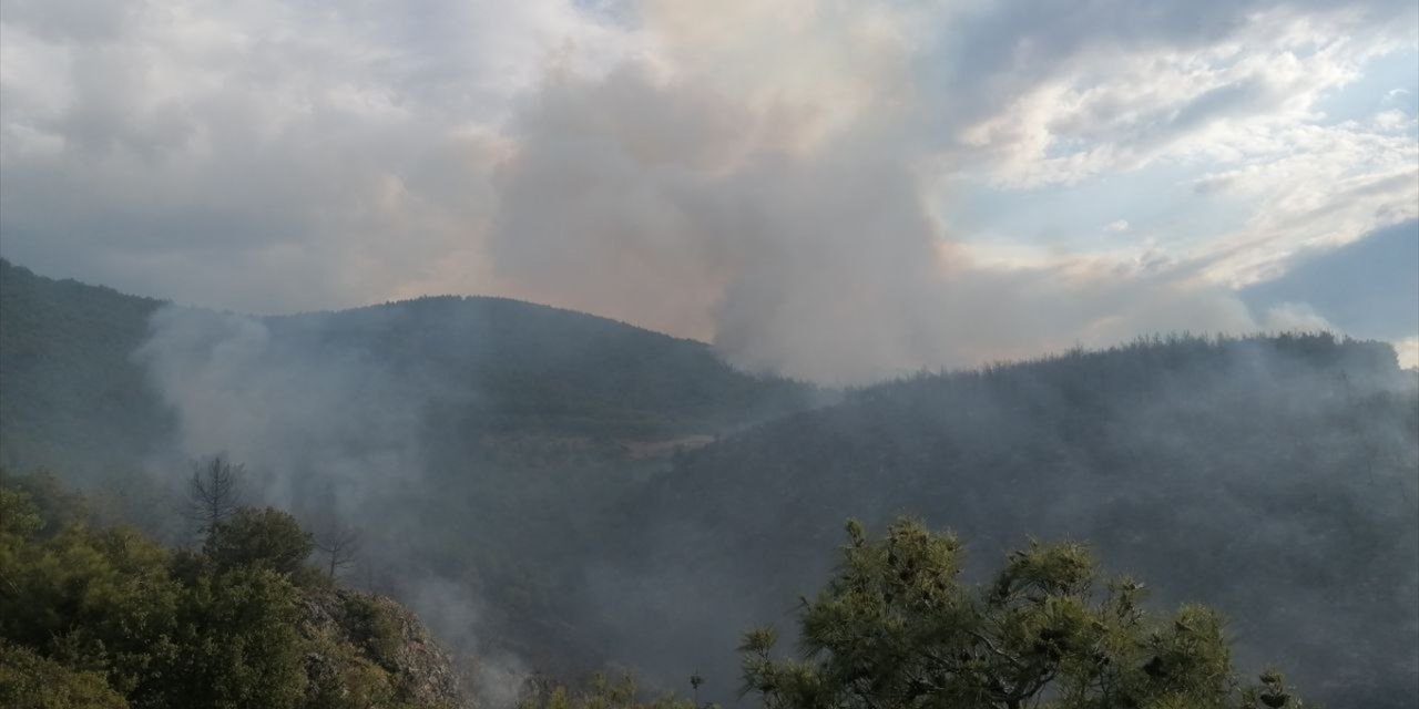 Tokat'ta ormanlık alanda çıkan yangına müdahale ediliyor