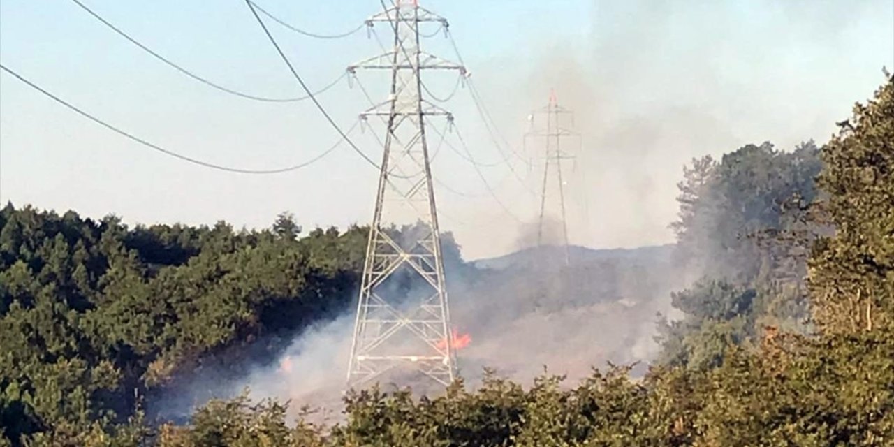 Sakarya'da ormanlık alanda çıkan yangın kontrol altına alındı