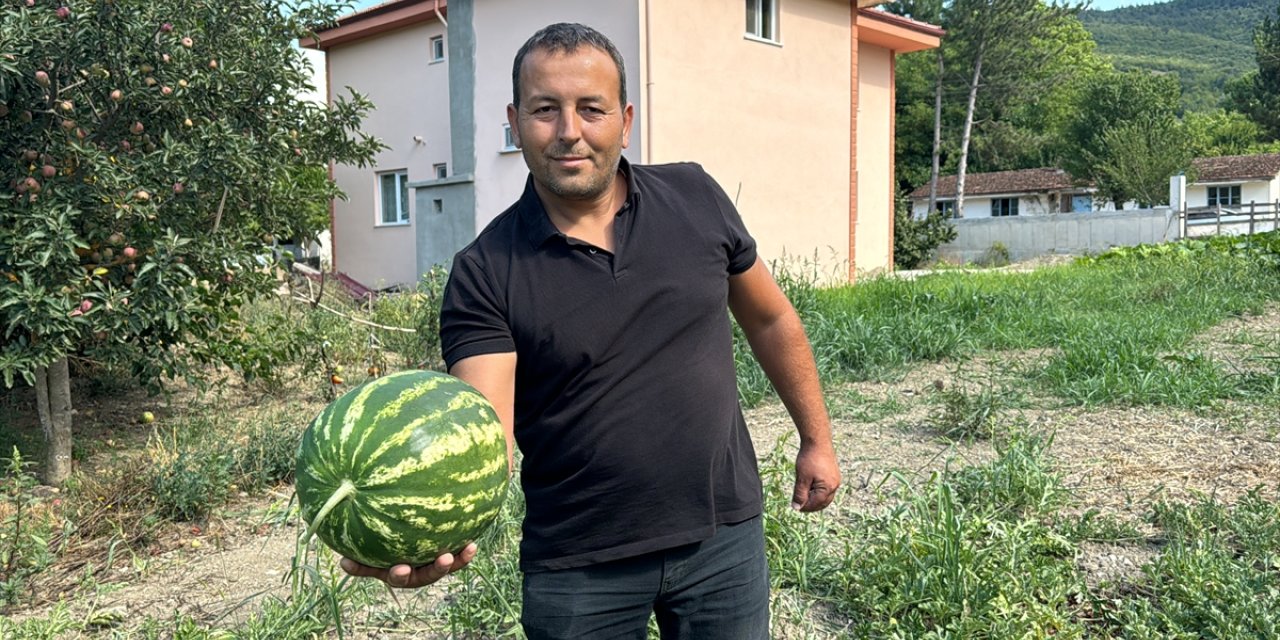 Karabüklü çiftçi deneme amaçlı yetiştirdiği karpuzları vatandaşlara ikram ediyor