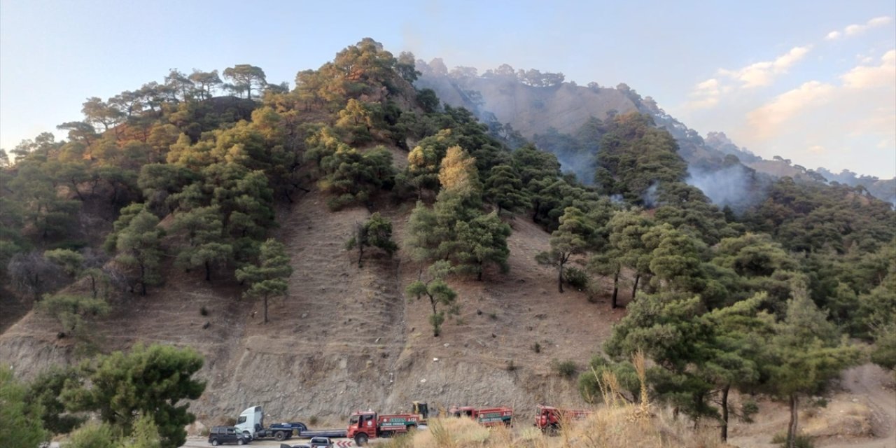 Manisa'nın Salihli ilçesindeki orman yangını kontrol altına alındı