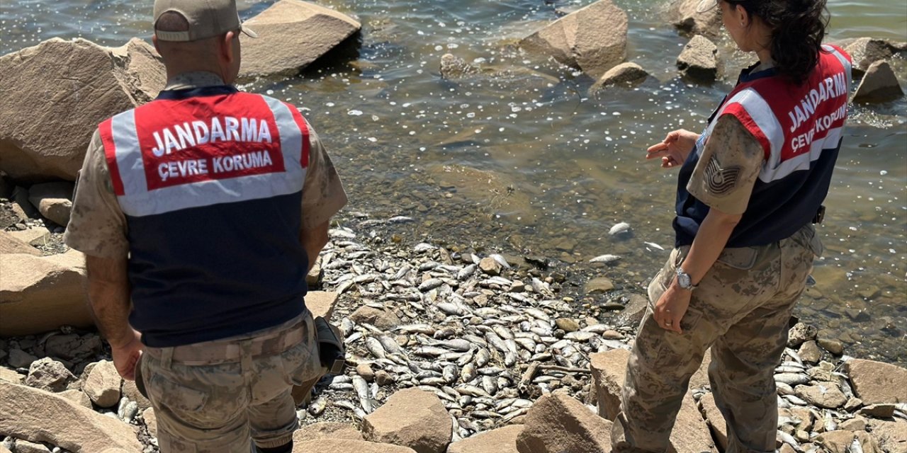 Diyarbakır'daki Devegeçidi Baraj Gölü'nde balık ölümleriyle ilgili inceleme başlatıldı