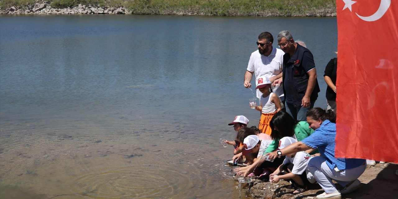 Çanakkale'deki baraj ve göletlere 1 milyon 750 bin sazan yavrusu bırakıldı