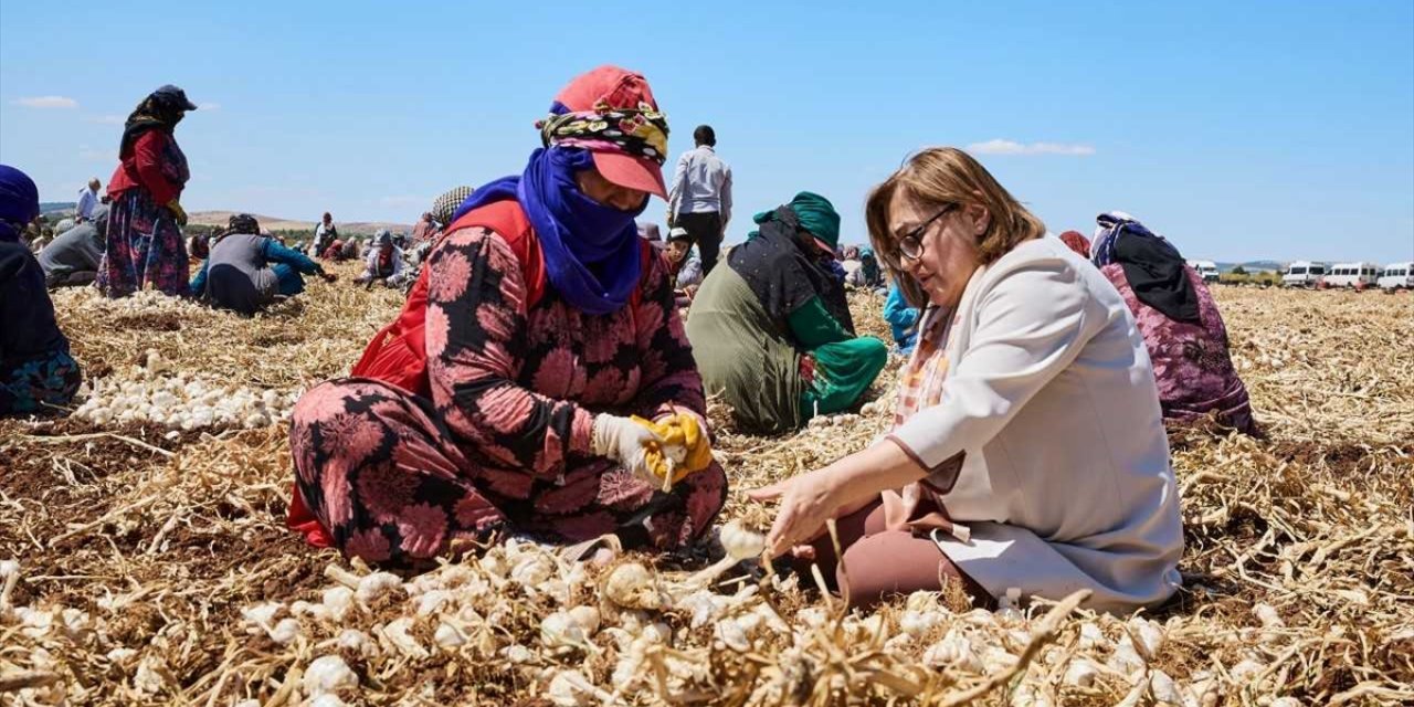 Gaziantep'te belediyenin çiftçiden aldığı ürünler tüketiciyle buluşturuluyor