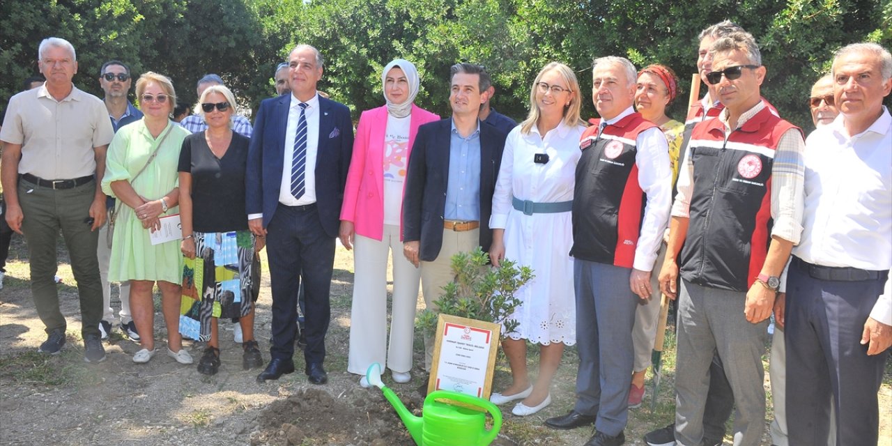 İzmir'de damla sakızı üretiminin artırılması planlanıyor