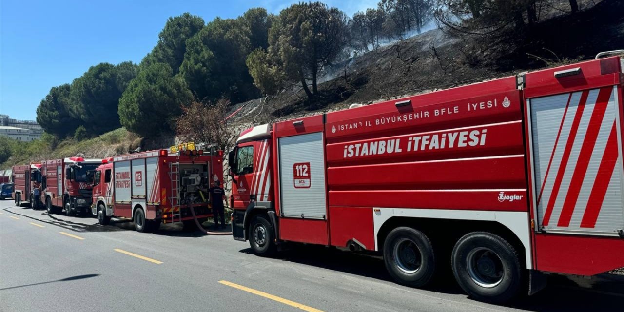 Başakşehir'de otluk alandan ağaçlık bölgeye sıçrayan yangın kontrol altına alındı