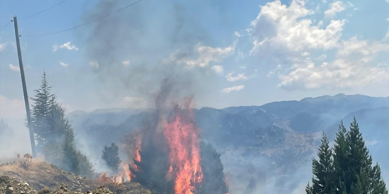 Alanya'da makilik alanda çıkan yangın kontrol altına alındı