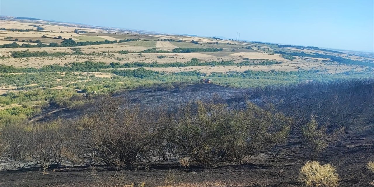 Edirne'de çıkan orman yangını söndürüldü