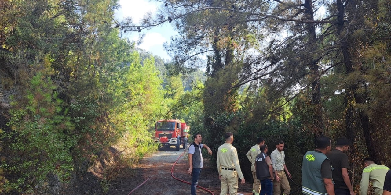 Hatay'da ormanlık alanda çıkan yangın söndürüldü