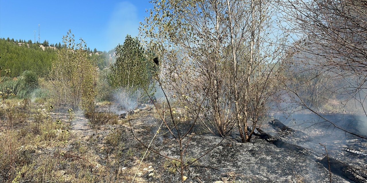 Burdur'da ormanlık alan yakınında çıkan ot yangını söndürüldü