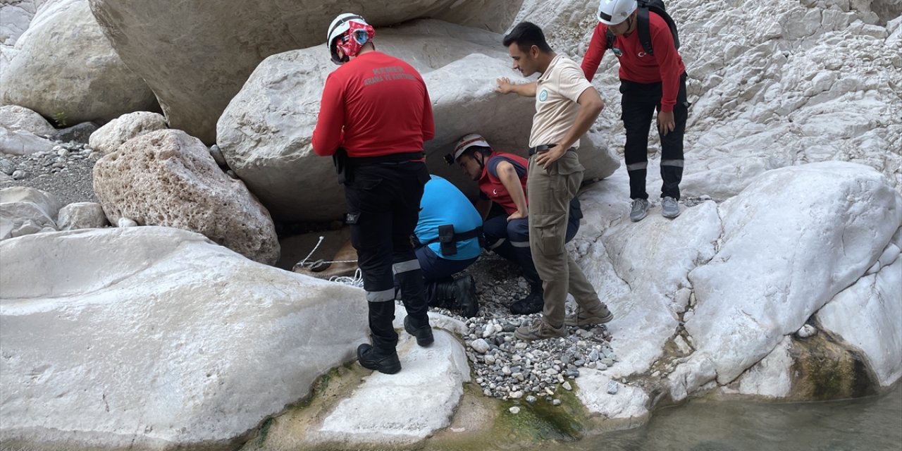 Antalya'da dere yatağında yaralı bulunan yaban keçisi kurtarıldı