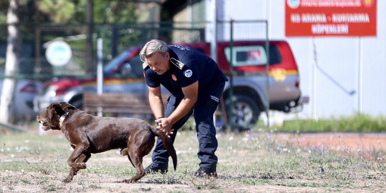 Depremzede itfaiyeci, enkazdan çıkmasını sağlayan arama kurtarma köpekleriyle hayat kurtarıyor