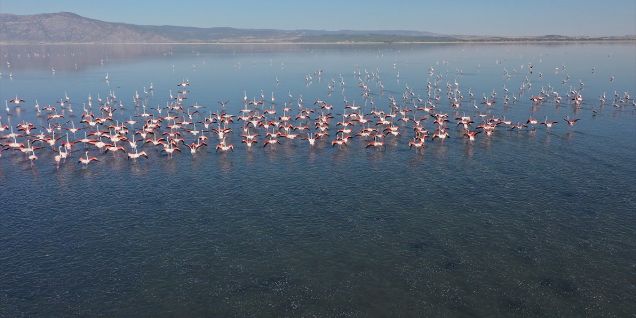 Kuş cenneti olarak bilinen Acıgöl flamingolarla bir başka güzel