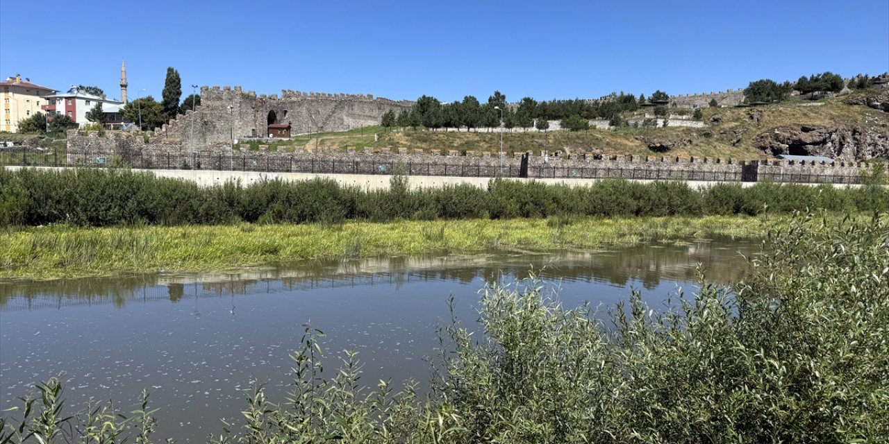 Sıcakların etkisiyle suyu azalan Ardahan'daki Kura Nehri'ni yosun kapladı