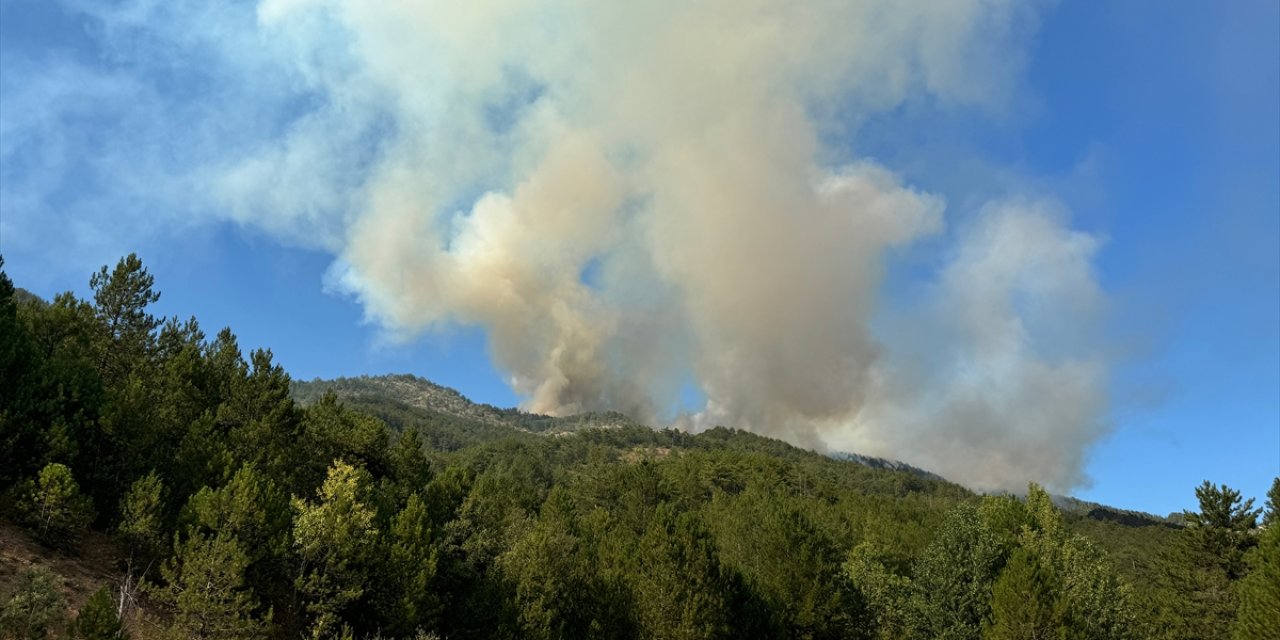 Karabük'te ormanlık alanda çıkan yangına müdahale ediliyor