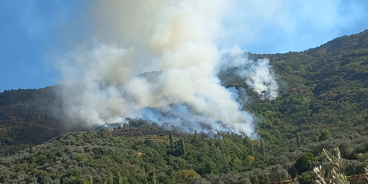 İzmir Ödemiş'te ormanlık alanda çıkan yangına müdahale ediliyor