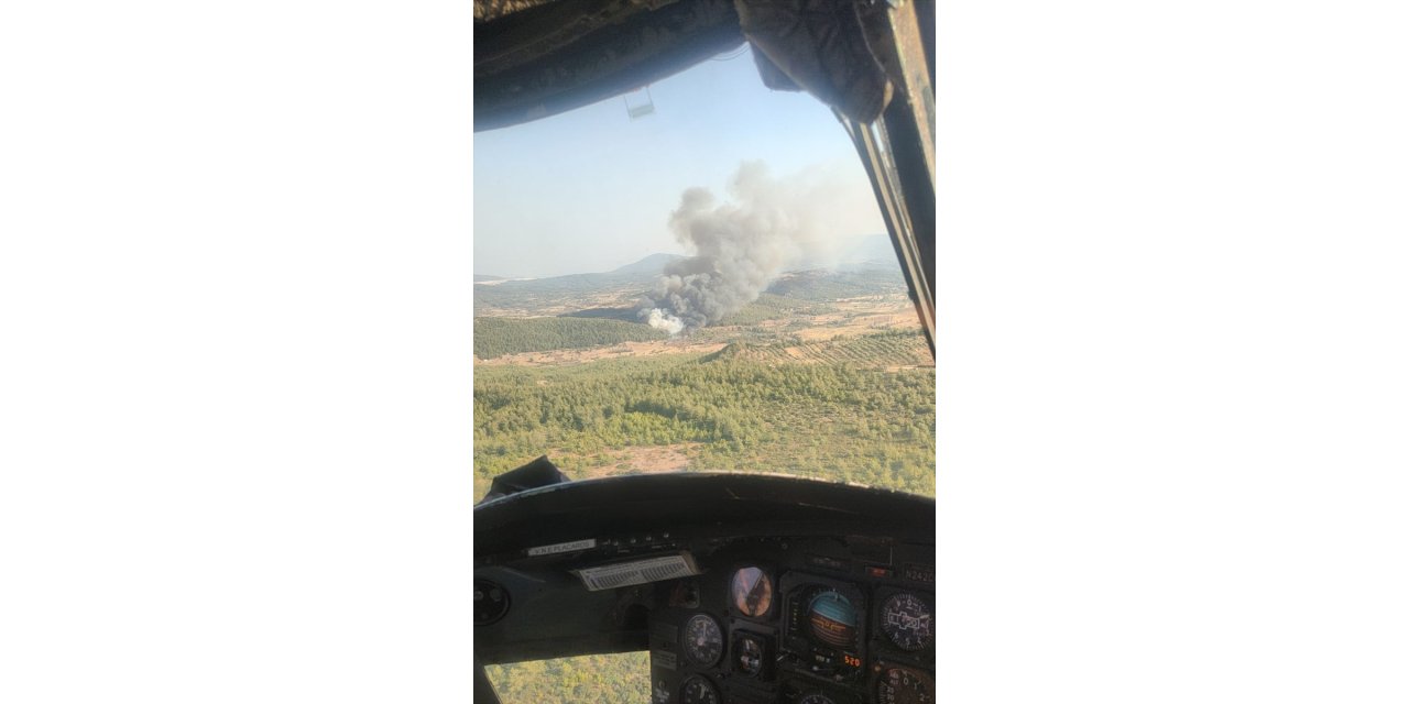 Milas'ta ormanlık alanda çıkan yangına müdahale ediliyor