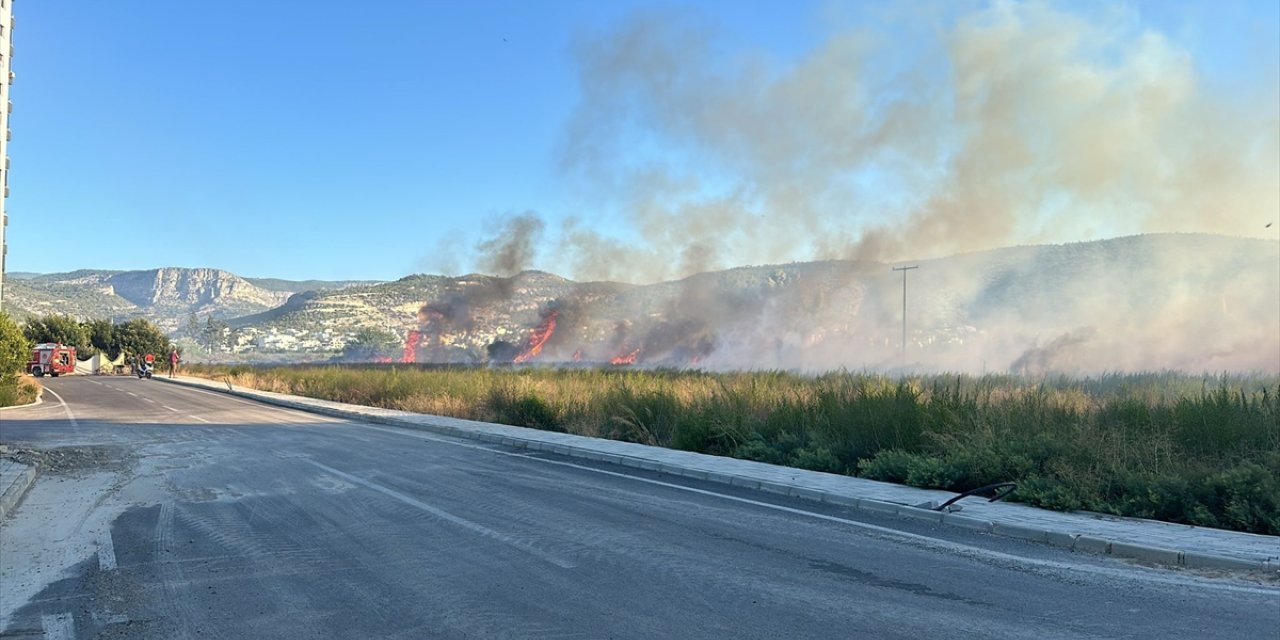 Mersin'de otluk alanda çıkan yangın söndürüldü